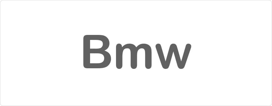 Bmw Sleutelhoesjes